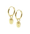 Aster Birth Flower Silver Hoop Earring Charms HO-2703